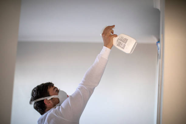 Best Fast Mold Removal  in Deforest, WI