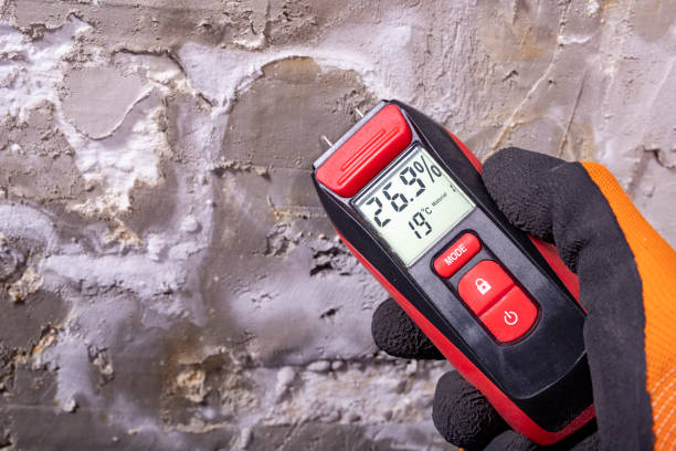 Office Mold Removal Services in Deforest, WI