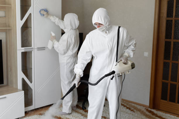 Best Commercial Mold Removal  in Deforest, WI