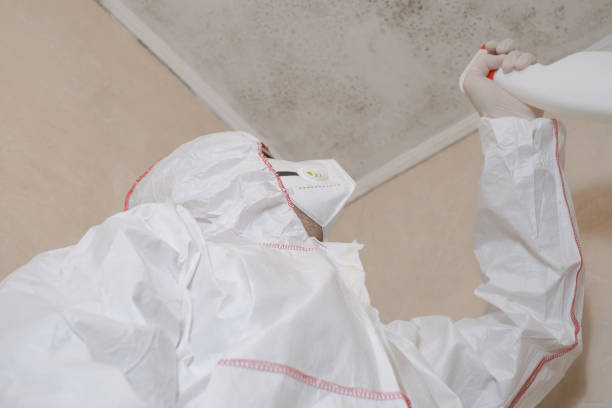 Best Crawl Space Mold Removal  in Deforest, WI
