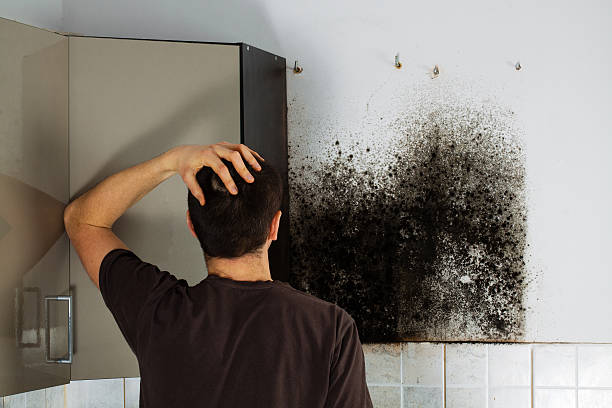 Best Mold Testing  in Deforest, WI